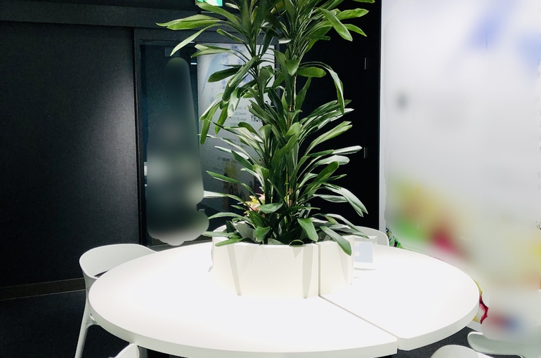 IMG_1814 （編集済み）